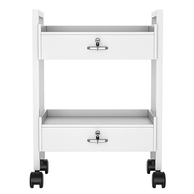 Paddie Salon Trolley Cart, Salon Tray Wooden Mobile Utility Cabinet with 2 Lockable Drawers, Rolling Storage Station Medical Esthetic Supply Holder for Beauty Spa (2 Drawers, White)