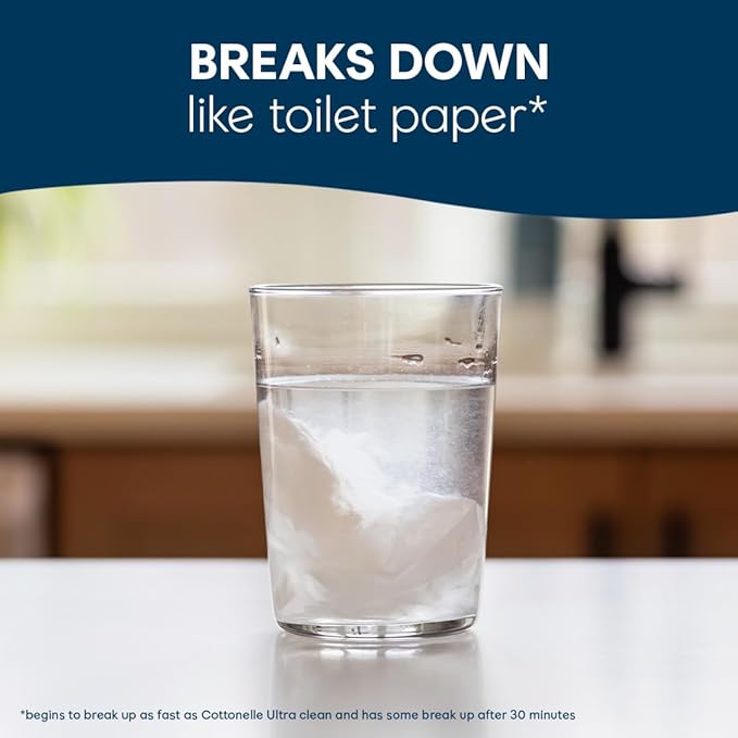 Cottonelle GentlePlus Flushable Wet Wipes with Aloe & Vitamin E, 16 Flip-Top Packs, 42 Wipes Per Pack (672 Total Wipes), Packaging May Vary