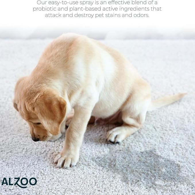 ALZOO Concentrated Stain & Odor Remover Refill Bottle, 100% Plant-Based Active Ingredients, 1.1 Fl. Oz, Pack of 3