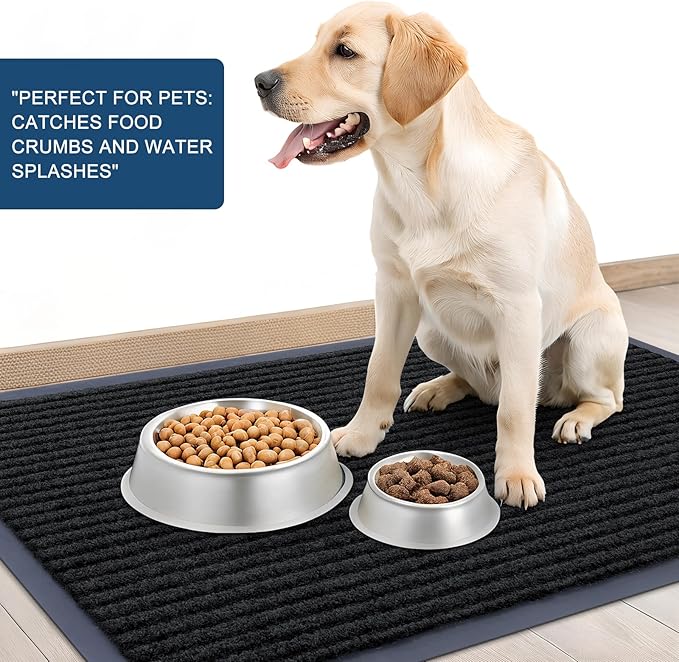 OLANLY Front Door Mat Indoor Outdoor Entrance, Waterproof Heavy Duty Doormat, Fade Resistant, Low Profile, Easy Clean Patio Porch Welcome Floor Mats for Entry, 33x21, Black