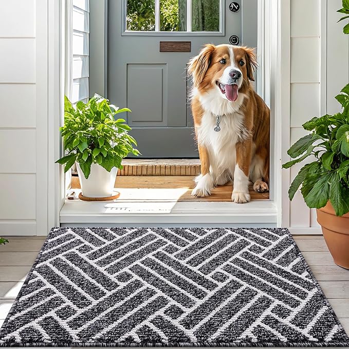 OLANLY Large Indoor Door Mat, 59x35 Inch, Dirt Resistant and Absorbent, Non-Slip Rubber Backing Floor Mats, Easy Clean Low-Profile Doormat for Entryway, Front Door, and Inside Entrance, Black