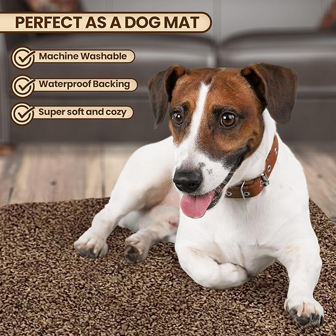 Premium Microfiber Indoor Door Mat – 20"x30" Washable Entry Mat, Non-Slip, Waterproof Backing, Super Absorbent, Low Profile Entryway Doormat for Indoor Entrance