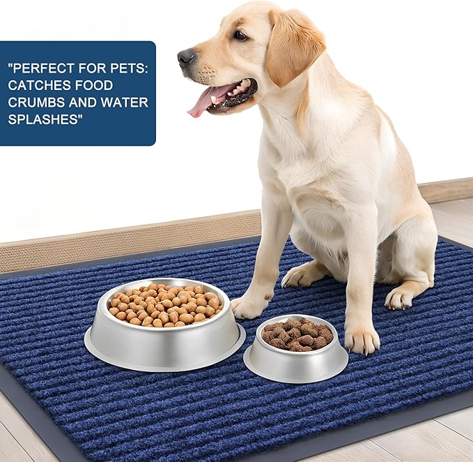 OLANLY Front Door Mat Indoor Outdoor Entrance, Waterproof Heavy Duty Doormat, Fade Resistant, Low Profile, Easy Clean Patio Porch Welcome Floor Mats for Entry, 29.5x17, Blue